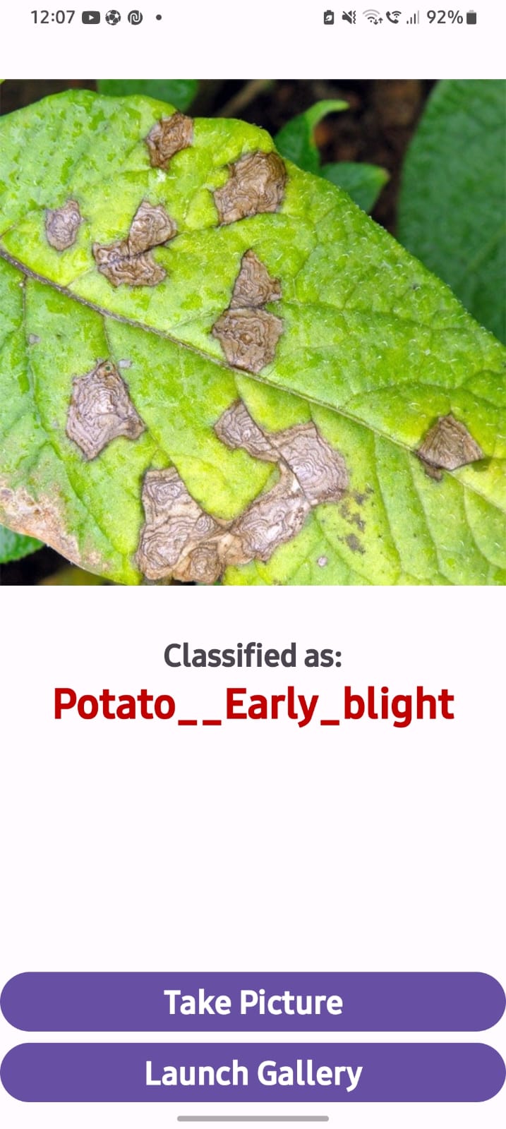 Potato Disease Classification Prediction Output 1 - Early Blight