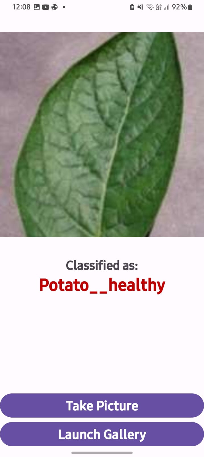 Potato Disease Classification Prediction Output 3 - Healthy