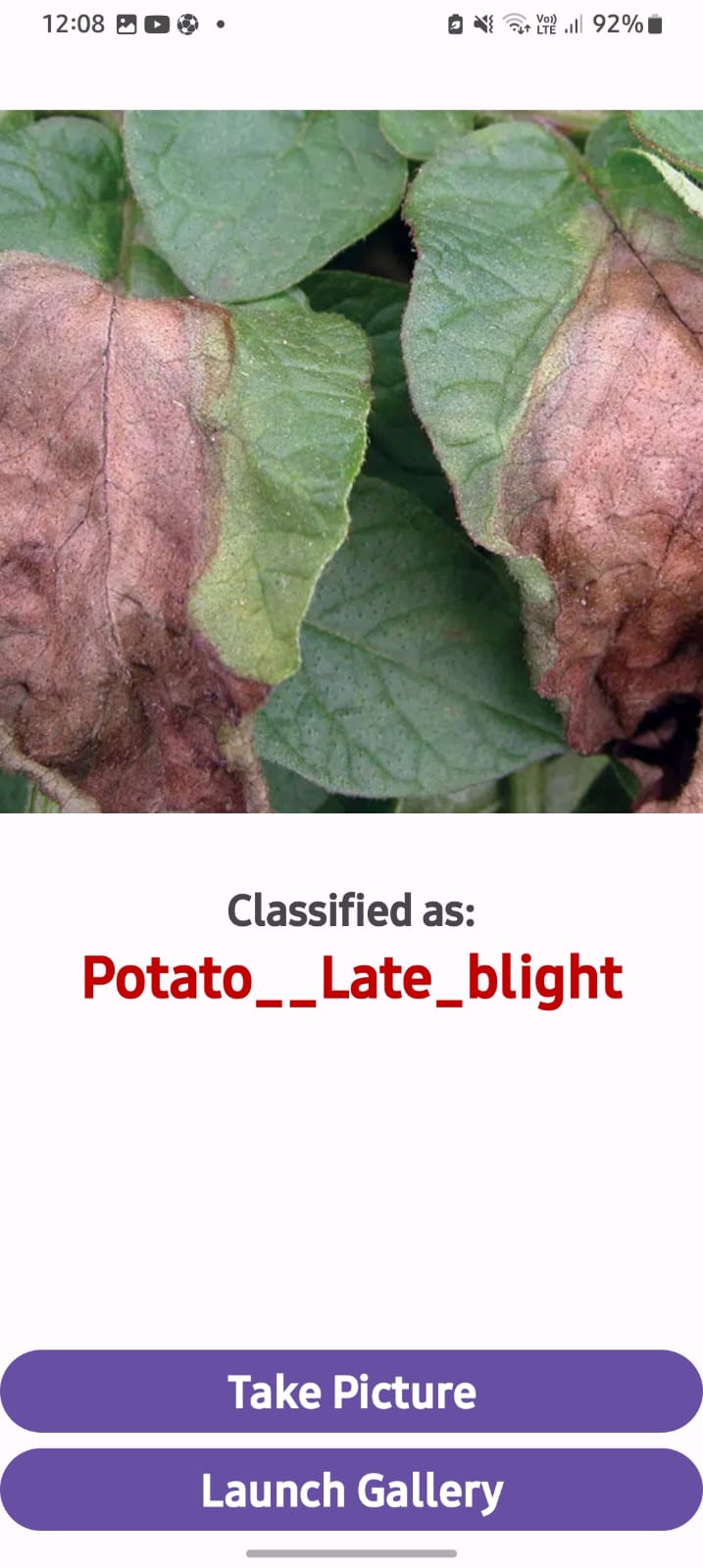 Potato Disease Classification Prediction Output 2 - Late Blight